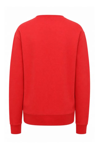 Sweater Icon - Rood