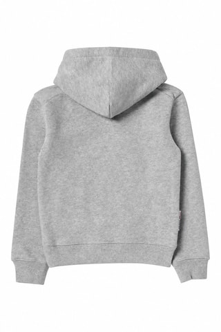 Sweat à capuche Apparel - Vert