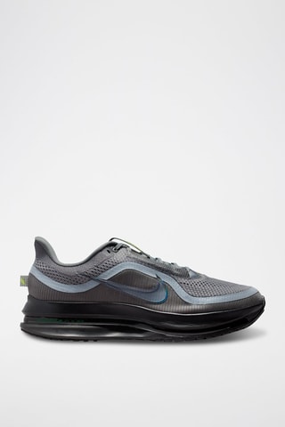 Pegasus Premium - Gris