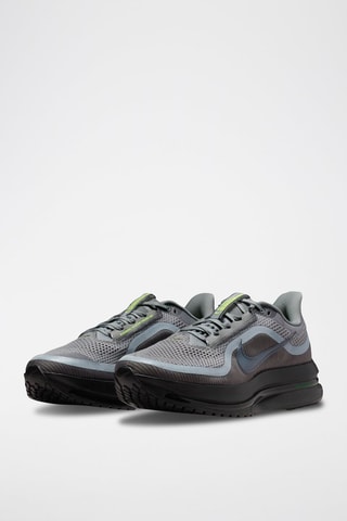 Pegasus Premium - Gris