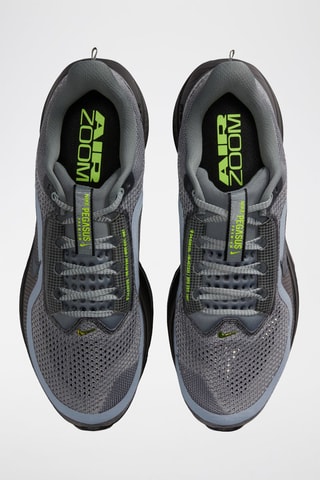 Pegasus Premium - Gris