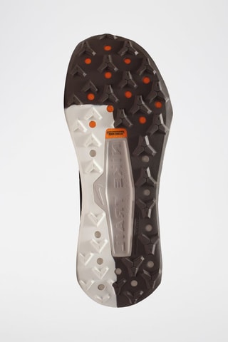 Wildhorse 10 - Topo
