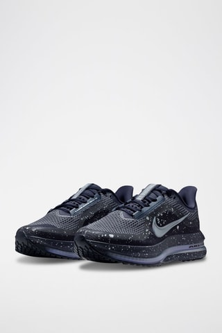 Nike Pegasus Premium SE - Negro y plateado