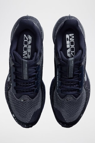 Nike Pegasus Premium SE - Negro y plateado