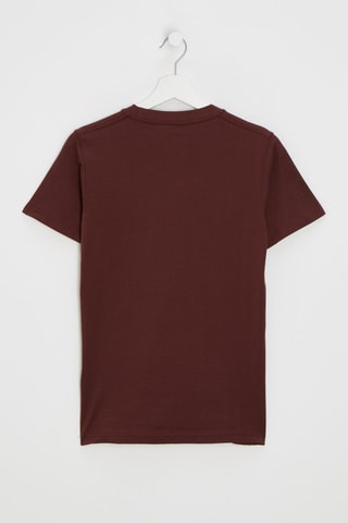 Camiseta - Marrón - Vans