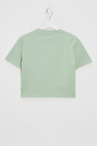 Camiseta - Verde - Dickies