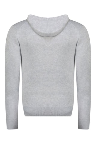 Gilet à capuche Felinoodeak - Gris clair