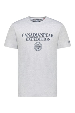 T-shirt Jvickeak - Bleu et gris