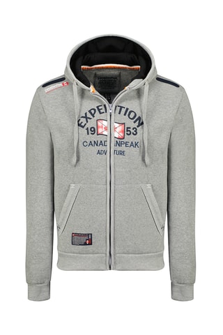 Sweat à capuche Flageak - Gris chiné
