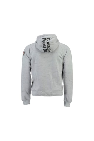 Sweat à capuche Factory - Gris