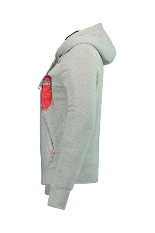 Sweat à capuche Farlotteak - Gris chiné