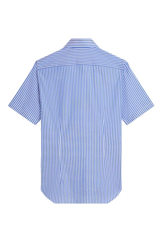 Chemise - Bleu cobalt et blanc