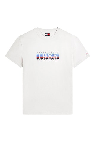 T-shirt regular - Gris