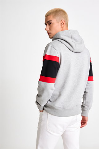Sweat à capuche - Gris