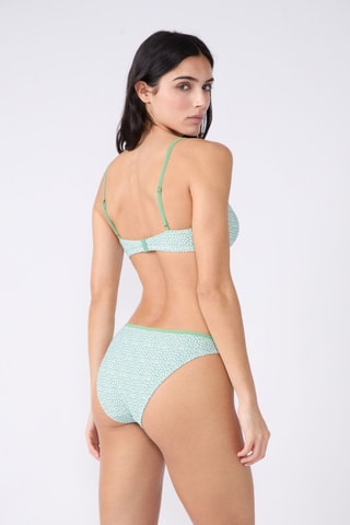 Reggiseno bikini push-up Anchusa - Verde e bianco