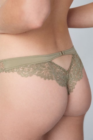 Tanga - Kaki