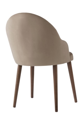 2 chaises  - 88 x 44 x 50,5 cm