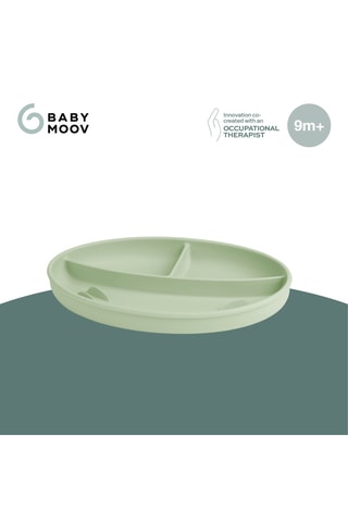 Plato con compartimentos - 16,5 x 20,2 cm