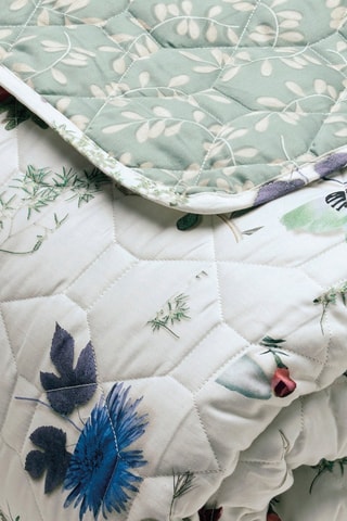 Katoensatijnen Sprei 80 Draad/cm² Semis - Wit