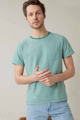 Camiseta de algodón orgánico - Verde esmeralda y crudo