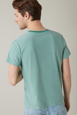 Camiseta de algodón orgánico - Verde esmeralda y crudo