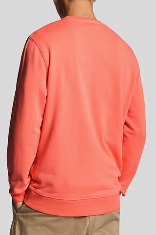 Sweat - Coral
