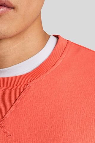 Sweat - Coral