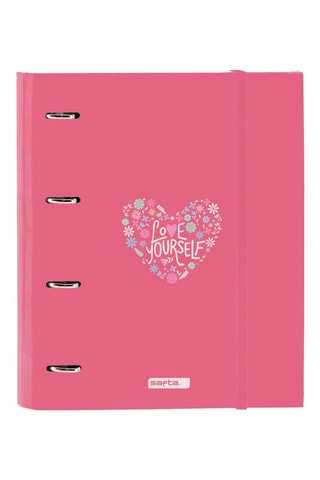 Classeur à anneaux - 100 feuilles -