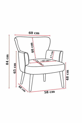 2 fauteuils et 1 pouf
