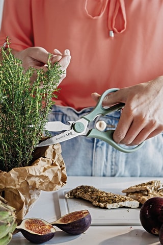Ciseaux de cuisine en acier inoxydable