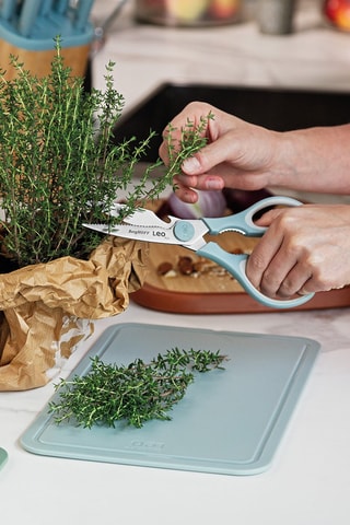 Ciseaux de cuisine en acier inoxydable