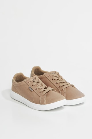 Tenis Bobs D’vine - Marrón claro