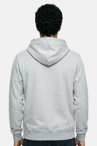 Sweater met Capuchon - Grijs