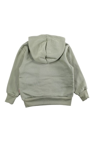 Sweater met Capuchon - Groen