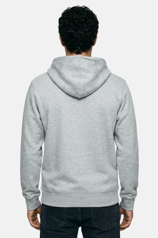 Sweater met Capuchon - Grijs