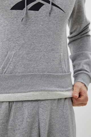 Sudadera con capucha Big Logo - Gris jaspeado