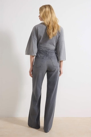 Jean regular - Gris