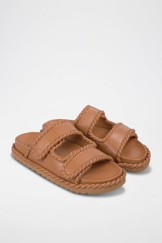 Mules - Camel