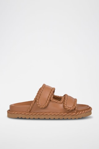 Mules - Camel