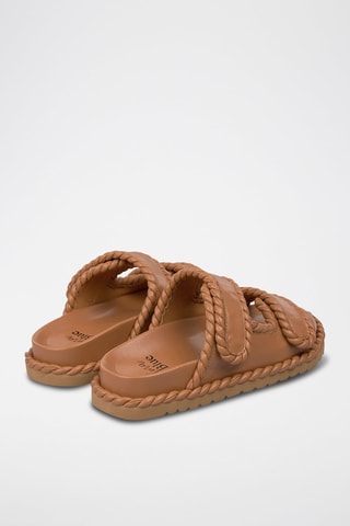 Mules - Camel