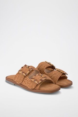 Mules - Camel