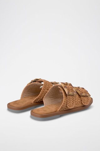 Mules - Camel