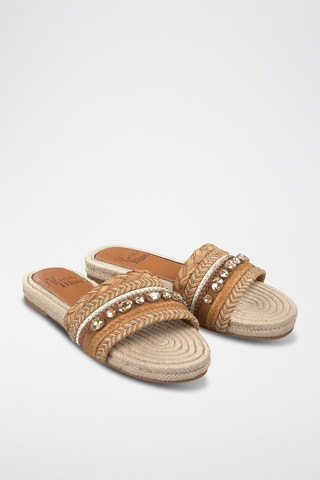 Mules - Camel