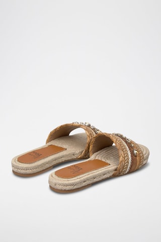 Mules - Camel