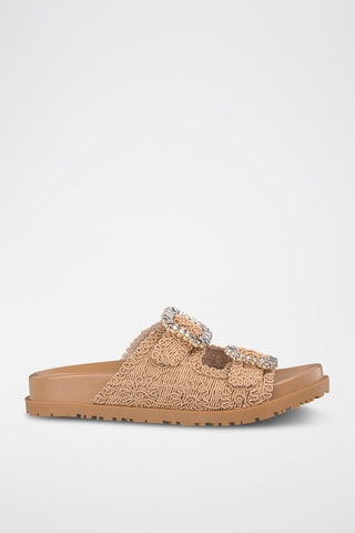 Mules - Camel