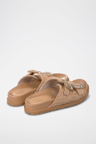 Mules - Camel