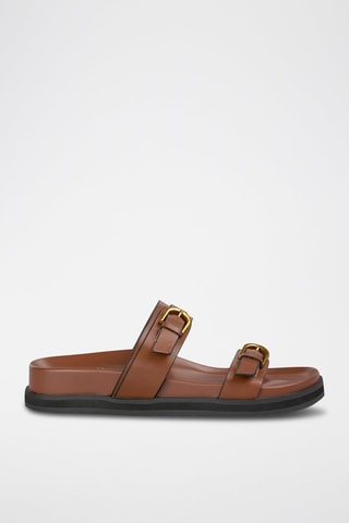 Mules - Camel