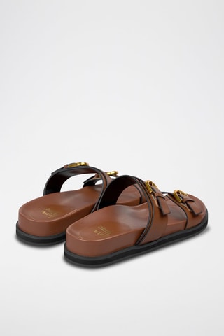 Mules - Camel