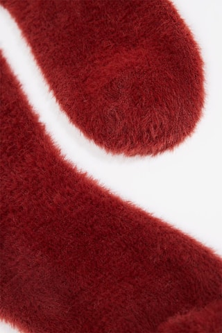 Calze - Rosso