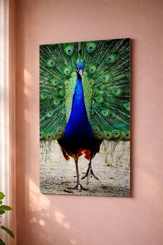 Quadro - 40 x 28 cm